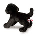 Brewster Black Lab    