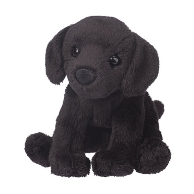 Lucy Black Lab    