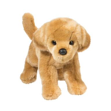 Sandi Golden Retriever    