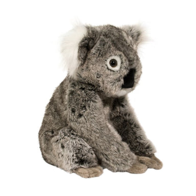 Douglas Kellen Koala    