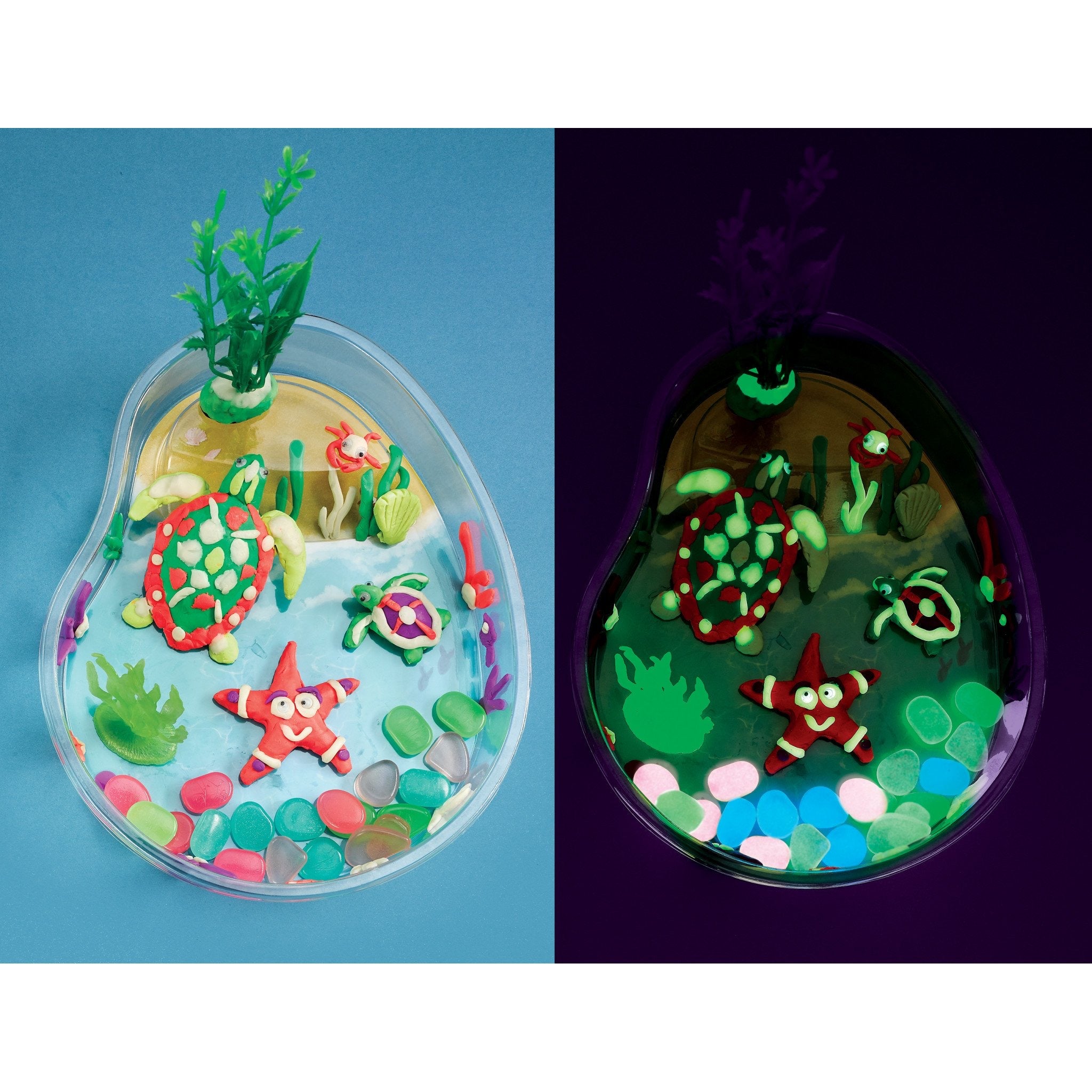 Glow In The Dark Turtle Lagoon    