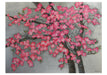 Shimmer - Joan Metcalf Boxed Assorted Note Cards    