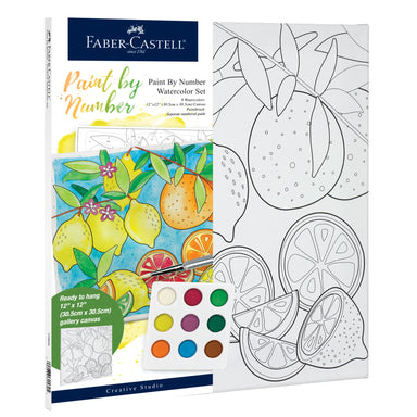Paint By Number Watercolor Set - Produce    