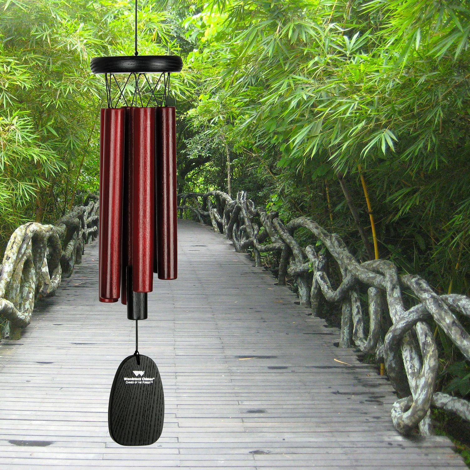 Chimes Of The Forest - Cocoa    