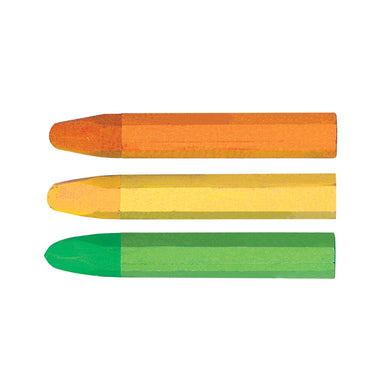 24 Oil Pastels    
