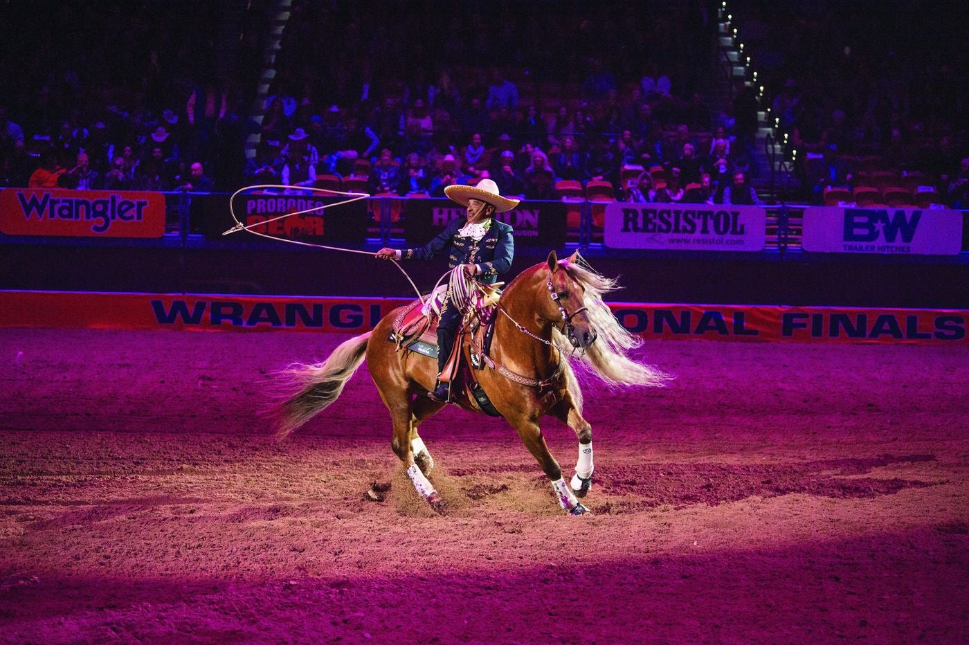 Breyer Traditionals - Latigo Dun it    