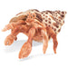 Folkmanis Puppet - Hermit Crab    