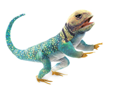 Folkmanis Puppet - Collared Lizard    
