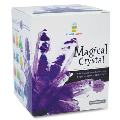 Magic Growing Crystals - Purple    