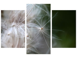 modern-3-piece-canvas-print-close-up-flowers-fibers
