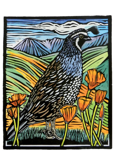 Molly Hashimoto - Assorted Boxed Note Cards    
