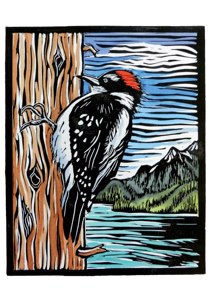 Molly Hashimoto - Assorted Boxed Note Cards    