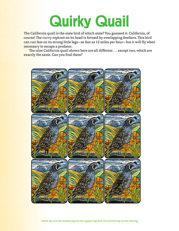 Molly Hashimoto's Art & Nature Activity Book    