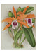 Orchids - Boxed Assorted Note Cards    