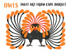 Owls - Inuit Art From Cape Dorset Boxed Assorted Note Cards    