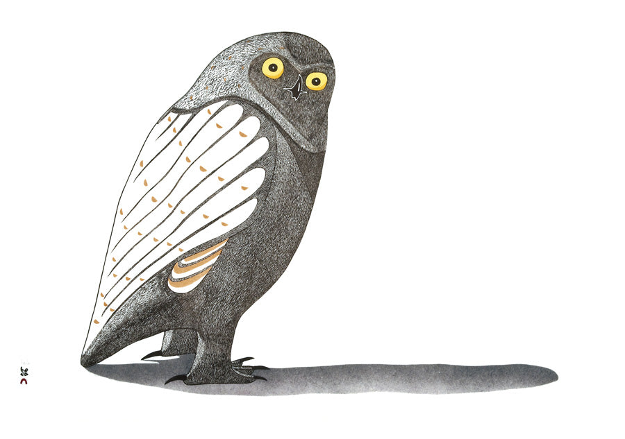 Owls - Inuit Art From Cape Dorset Boxed Assorted Note Cards    