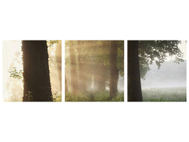panoramic-3-piece-canvas-print-first-day-of-summer