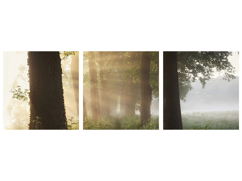 panoramic-3-piece-canvas-print-first-day-of-summer