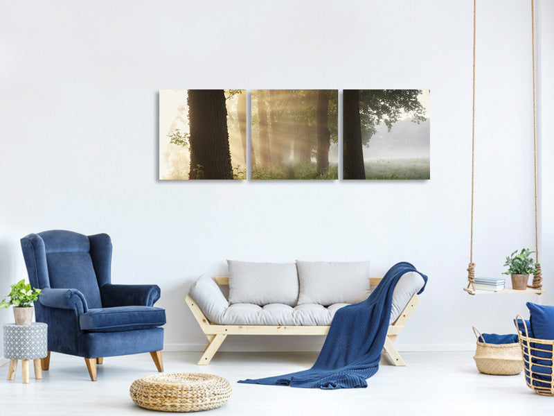 panoramic-3-piece-canvas-print-first-day-of-summer