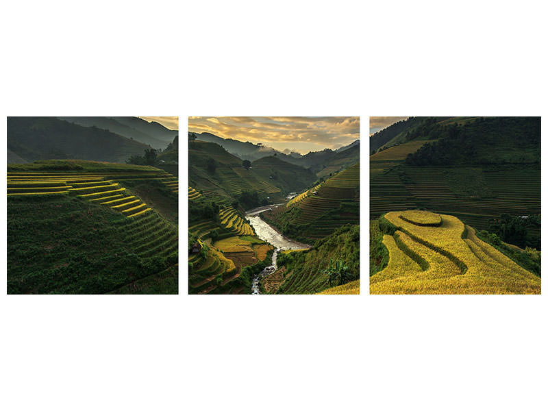 panoramic-3-piece-canvas-print-riceterrace