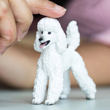 Schleich - Poodle    