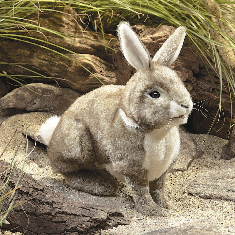 Folkmanis Puppet - Cottontail Rabbit    