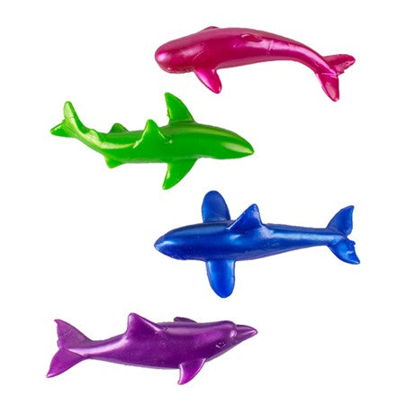 Stretch! - Sealife    