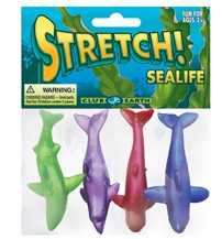 Stretch! - Sealife    