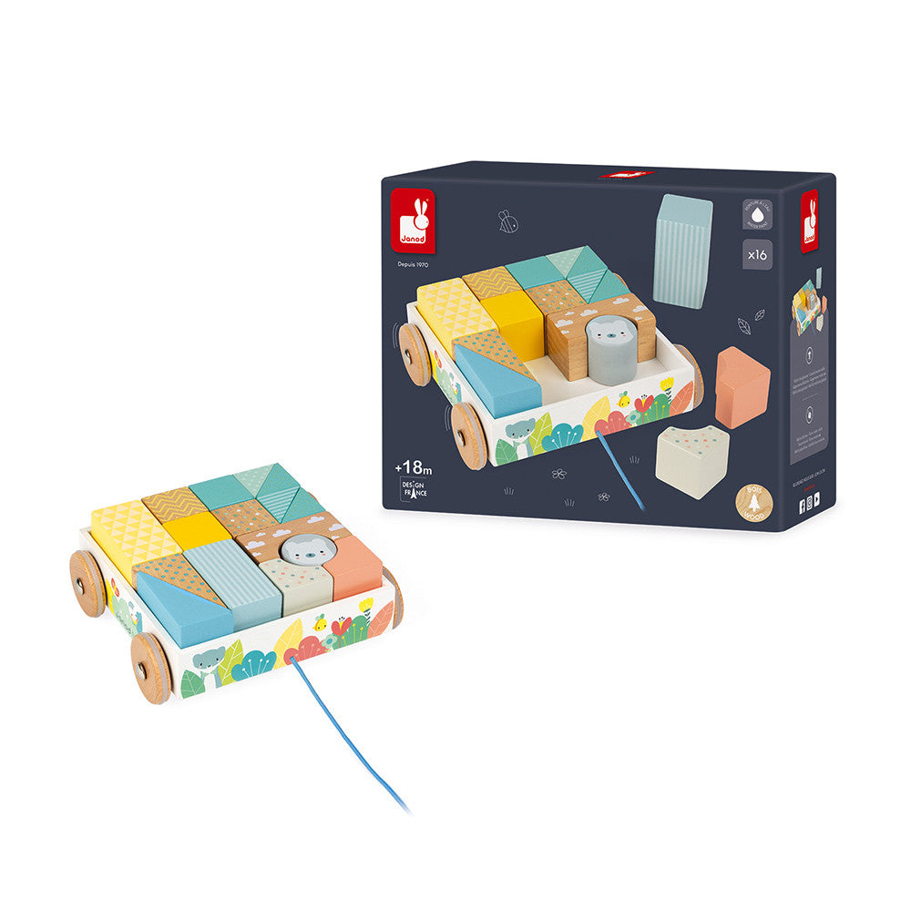 Pull Along Blocks Cart    