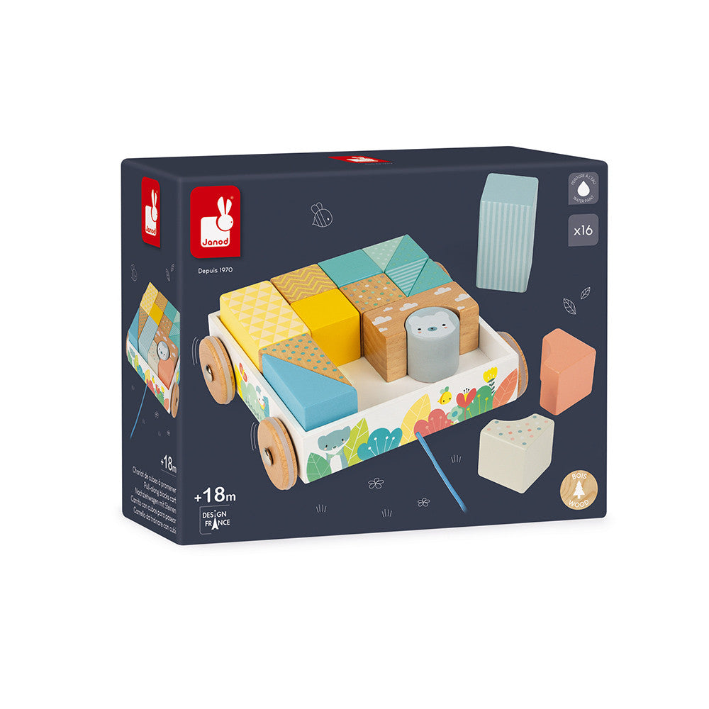 Pull Along Blocks Cart    
