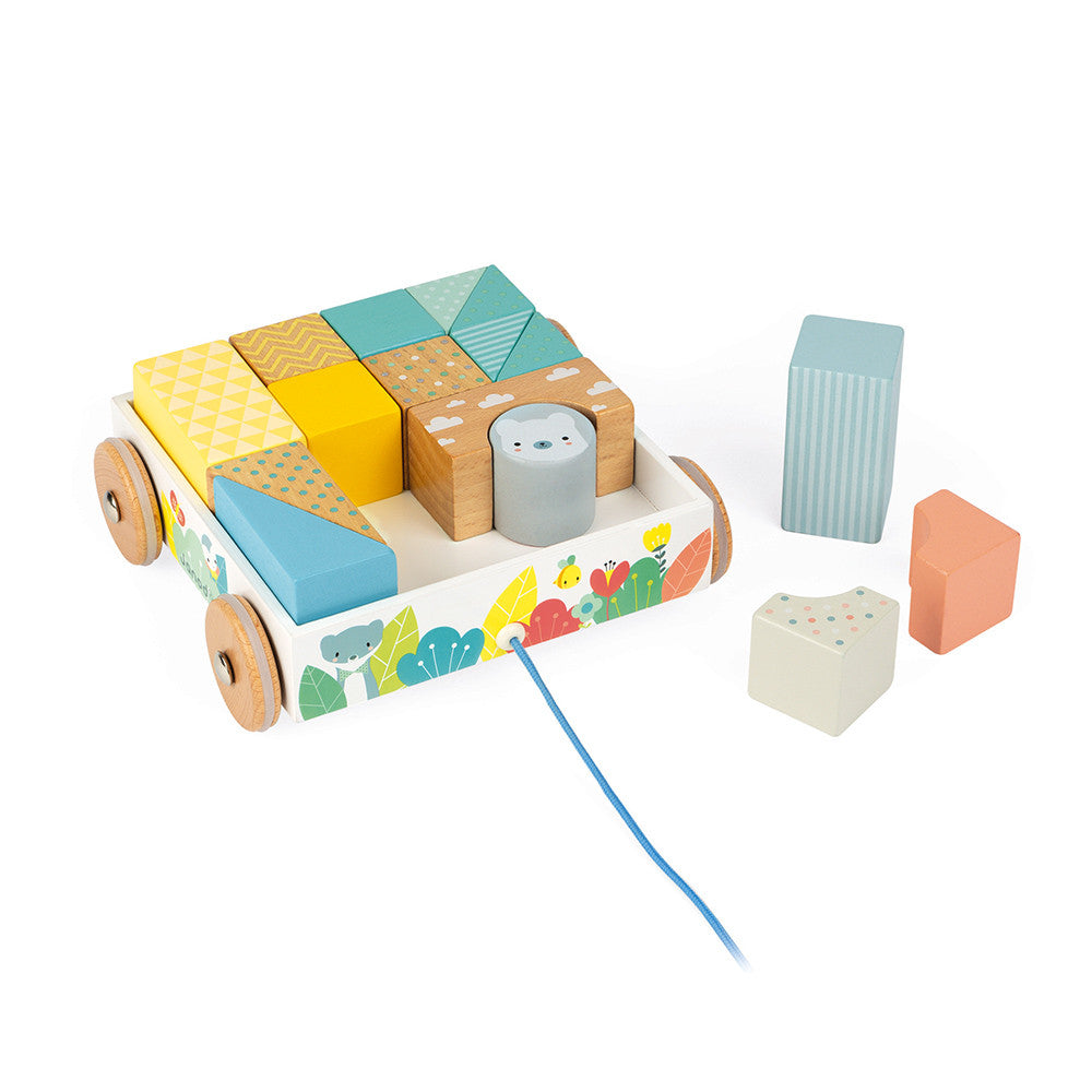 Pull Along Blocks Cart    