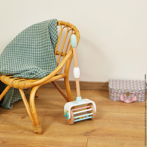 Pastel Push Along Toy    