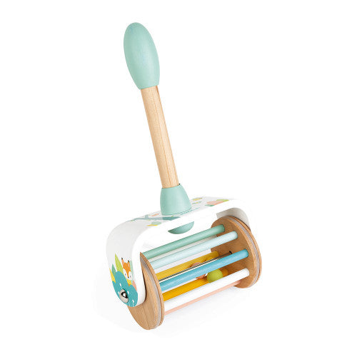 Pastel Push Along Toy    