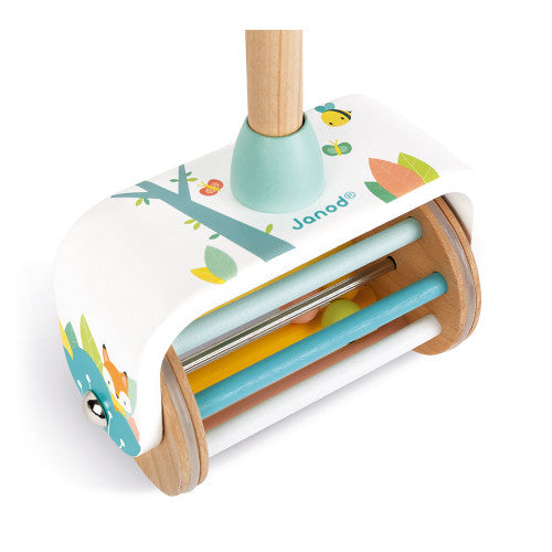 Pastel Push Along Toy    