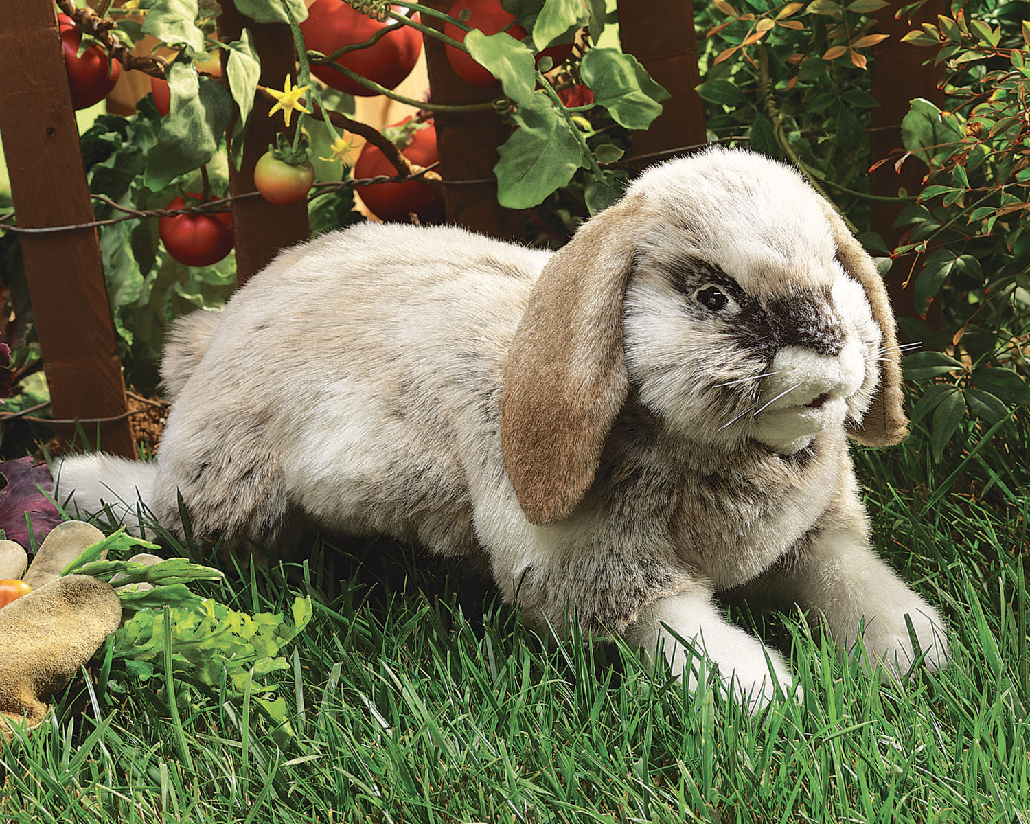 Folkmanis Puppet - Holland Lop Rabbit    
