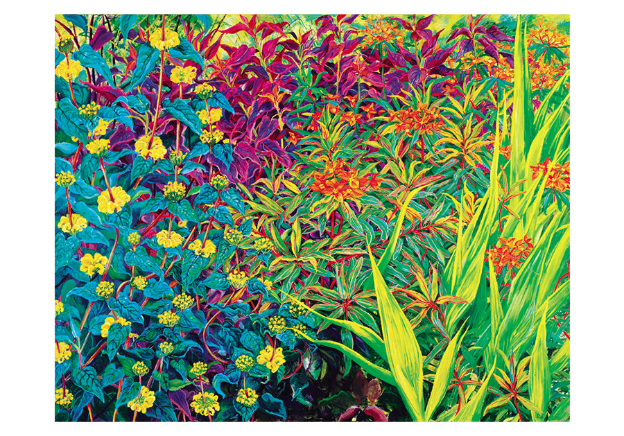 Garden Border With Phlomis and Euphorbia - Rosalind Wise Boxed Note Cards    