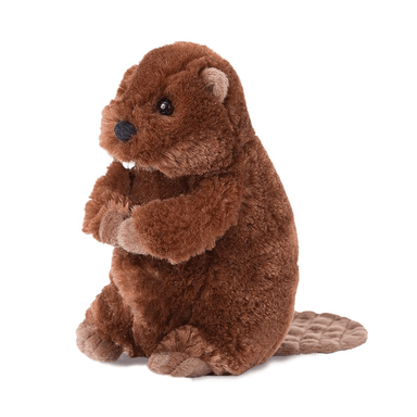 Buddy Beaver    