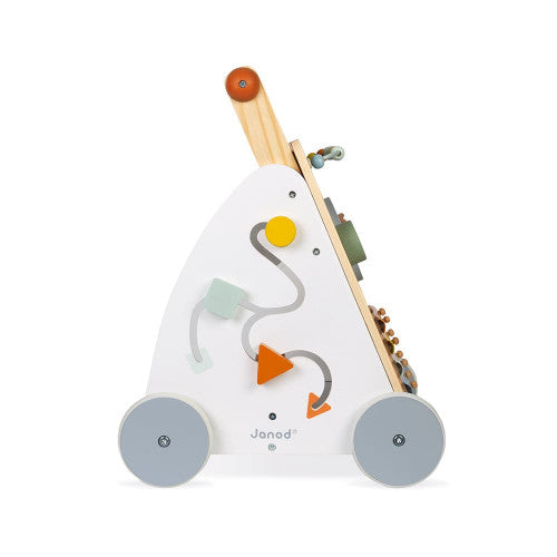 9 In 1 Multi Activity Baby Walker    