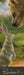 The Exchange - Robert Bissel Bookmark    