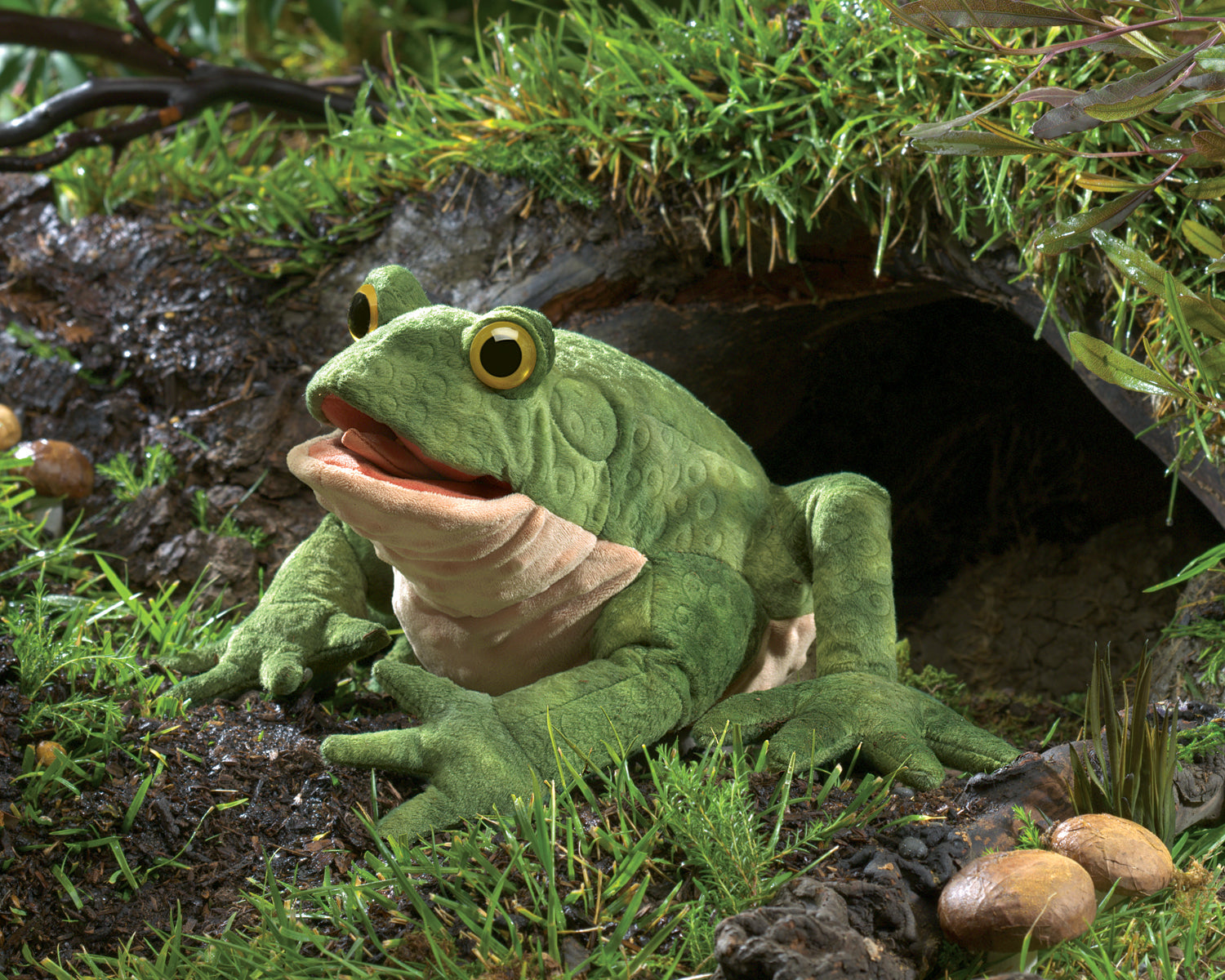 Folkmanis Puppet - Toad    