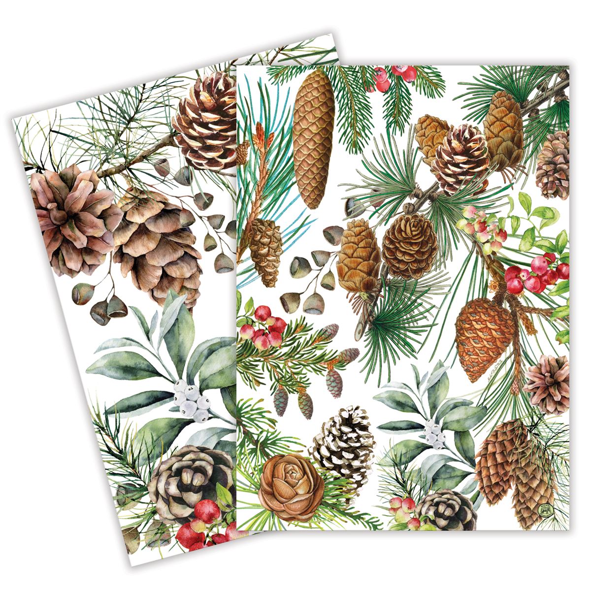 White Spruce Set of 2 Kitchen Towels    