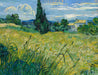 Vincent van Gogh - Keepsake Boxed Assorted Note Cards    