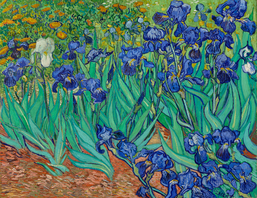 Vincent van Gogh - Keepsake Boxed Assorted Note Cards    