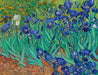 Vincent van Gogh - Keepsake Boxed Assorted Note Cards    