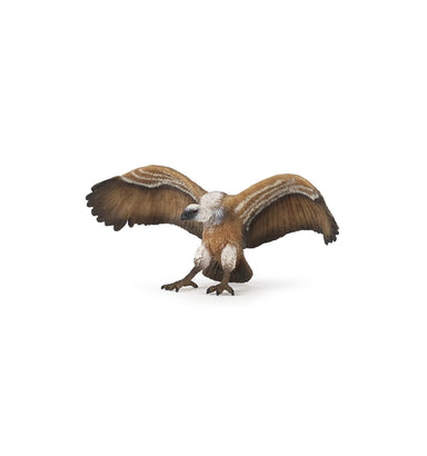 Papo Vulture    