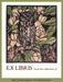Bookplates - Owls & Magnolias William S. Rice    