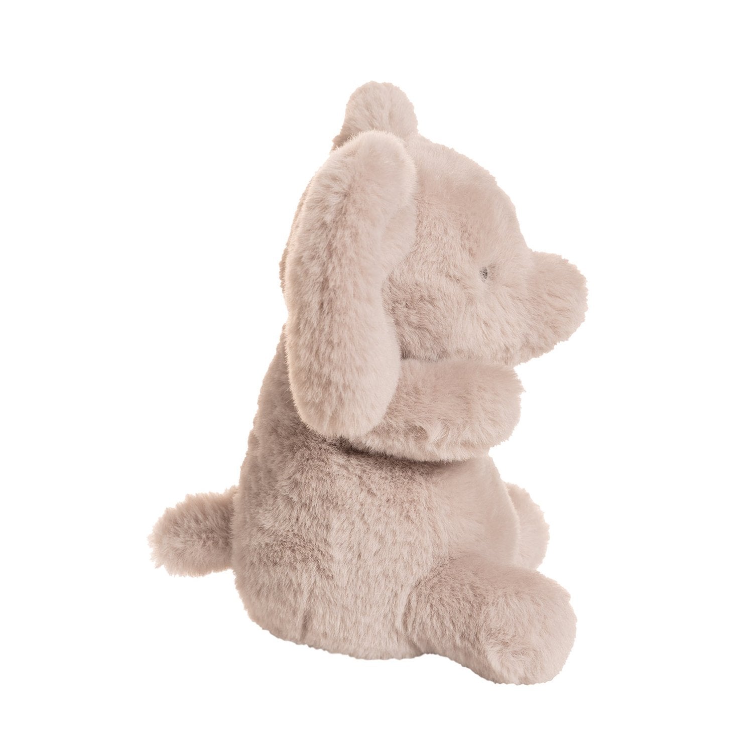 Astor Elephant    
