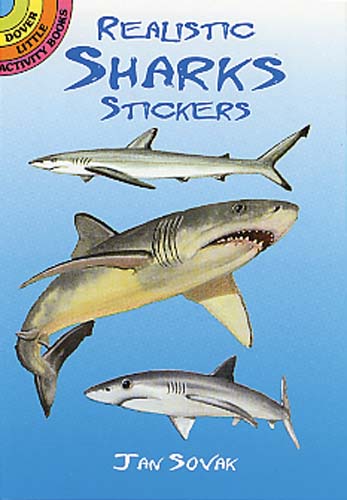 Realistic Sharks Stickers - Little Activity Book    