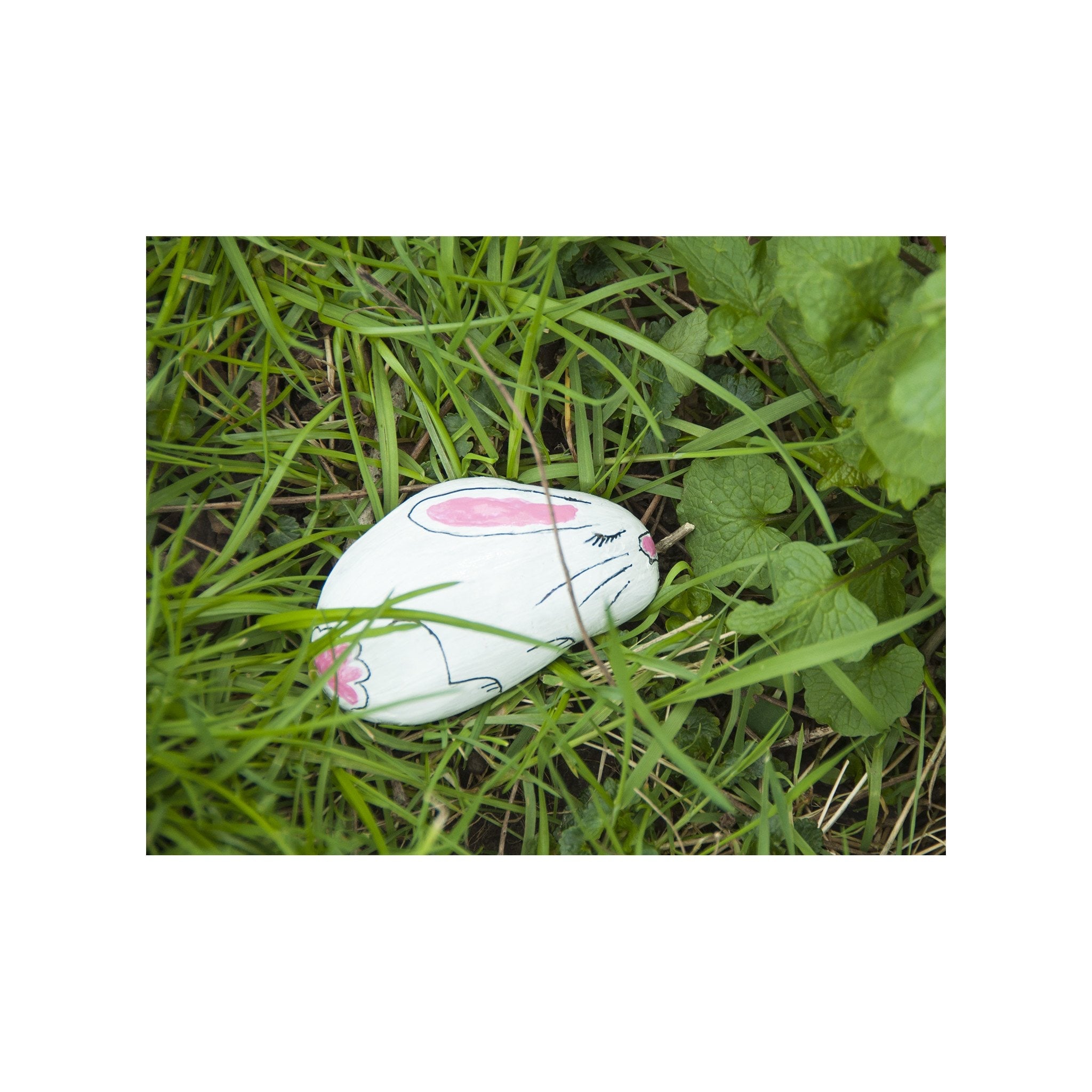 Hide & Seek Rock Paining Kit    